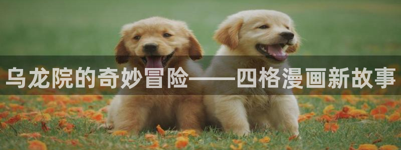水边之夜完整版漫画奇漫屋：乌龙院的奇妙冒险——四格漫画新故事
